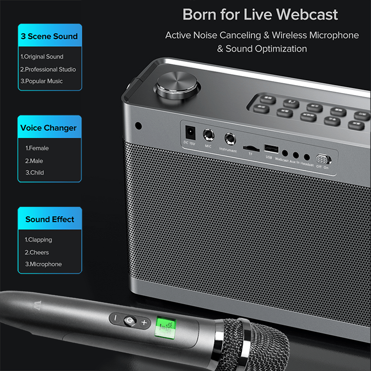 WinBridge T9 Portable PA System Karaoke Machine 40 Watt With Wirereless Microphone