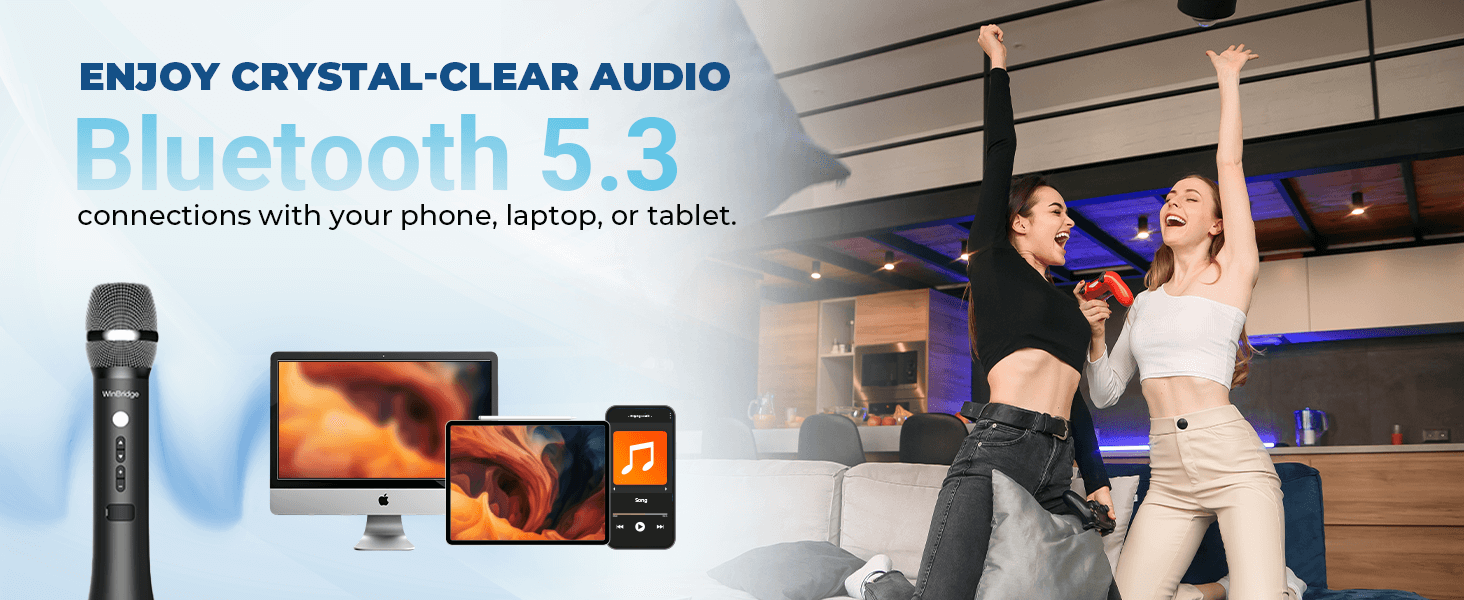 Microphone - WinBridge