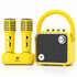 VoiceBeat™ Mini Karaoke Machine with 2 Wireless Microphones - WinBridge L20 20W