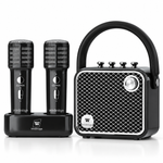 VoiceBeat™ Mini Karaoke Machine with 2 Wireless Microphones - WinBridge L20 20W