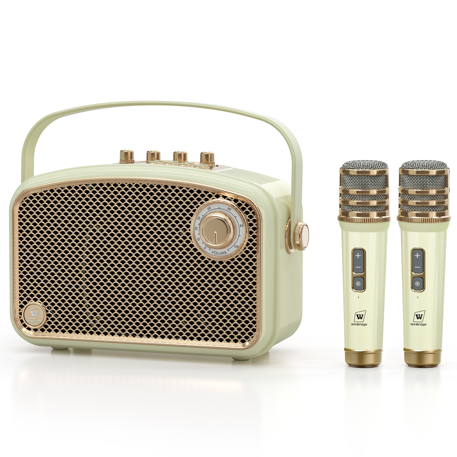 WinBridge L200 Karaoke Machine with 2 UHF Wireless Microphones, 70W Bluetooth Speaker with Bass/Trable/Echo Adjustment, Portable Pa System for Adults, Teachers, Public Speaking, Events