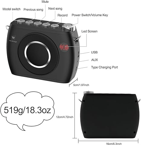 WinBridge 25W Wireless Voice Amplifier with Two Bluetooth Headset Microphones, High Capacity 8000mAh|Record, Portable Pa System Bluetooth Speaker and Microphone, Megaphone with Mic for Teachers S96