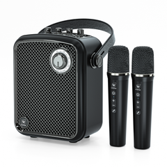 S100 Pro