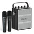 VoicePower™ 100W Portable PA System with 2 Wireless Mics - WinBridge S99 Karaoke
