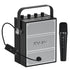 VoicePower™ 60W Portable PA System with 2 Wireless Mics - WinBridge S97 Guitar Amp