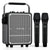 Voice amplifier