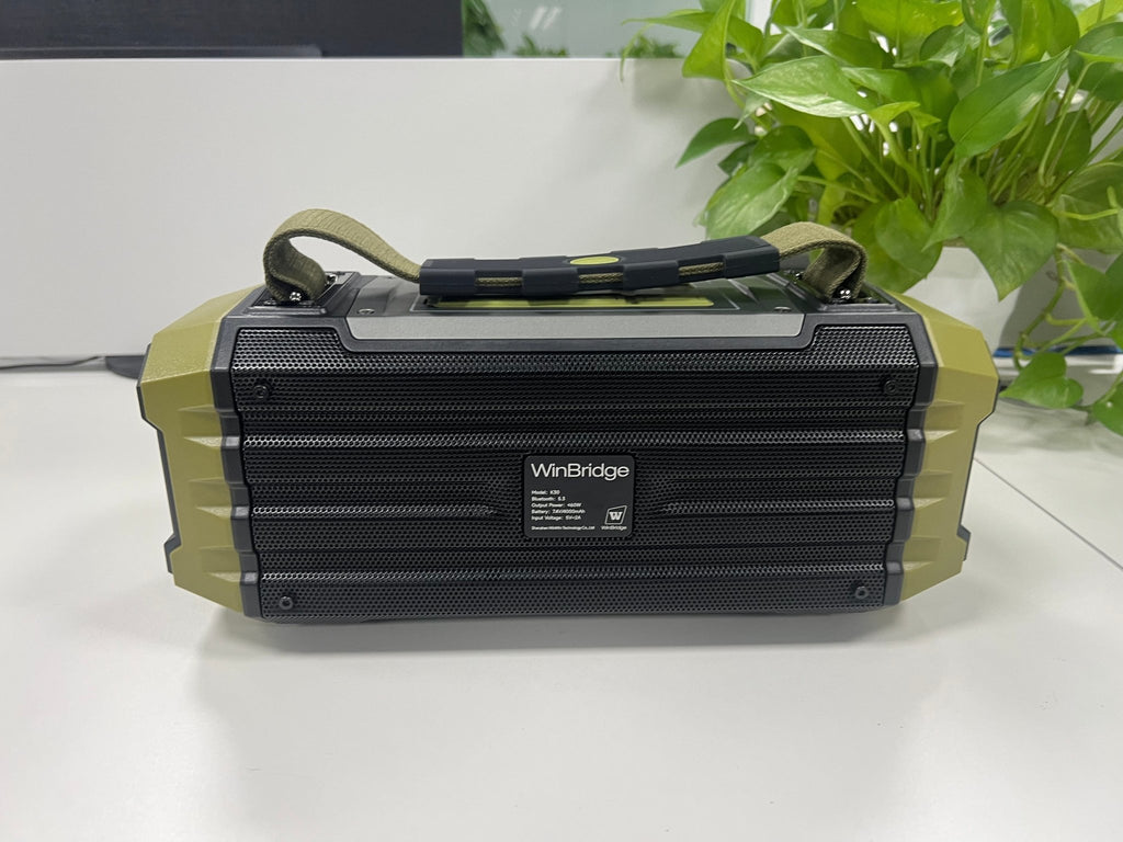 K30 Portable speaker with Wireless microphone for camping and outdoor activity - WinBridge