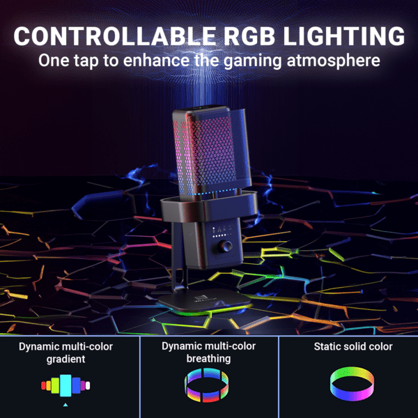WinBridge USB Recording Microphone - Computer Cardioid Condenser PC Gaming Mic with RGB Light, Gain Control, Headphones Jack, Mute Button, Monitoring, Desktop Stand for Streaming, Podcasting