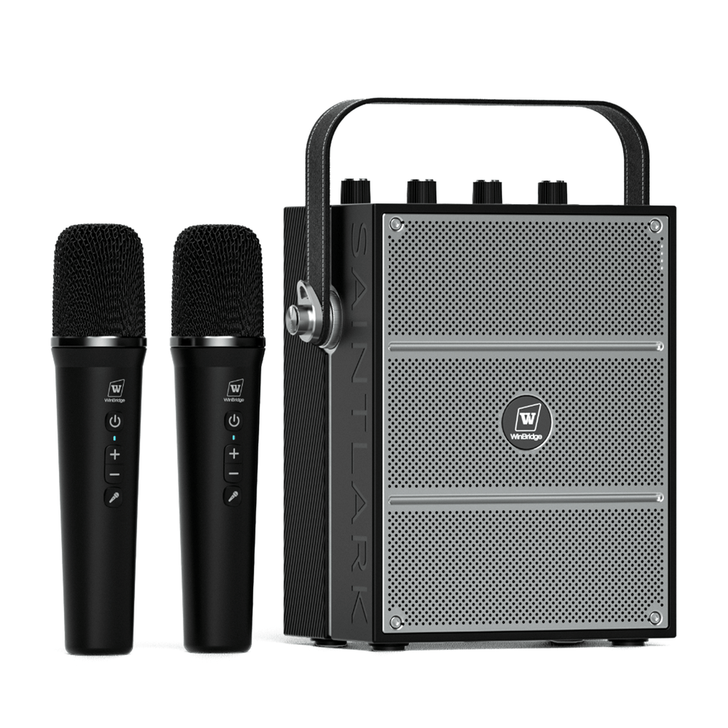 PORTABLE PA SYSTEMS - WinBridge