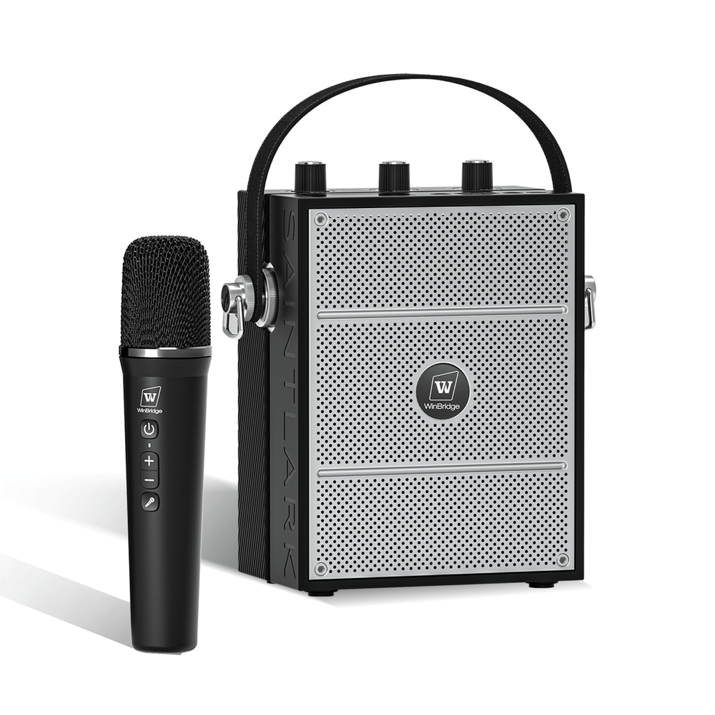PORTABLE PA SYSTEMS - WinBridge