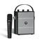 PORTABLE PA SYSTEMS - WinBridge