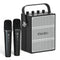 VoicePower™ 100W Portable PA System with 2 Wireless Mics - WinBridge S99 Karaoke - WinBridge