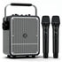 VoicePower™ 150W Portable PA System with 2 Wireless Mics - WinBridge S200 Guitar Amp - WinBridge