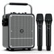 VoicePower™ 150W Portable PA System with 2 Wireless Mics - WinBridge S200 Guitar Amp - WinBridge