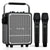 VoicePower™ 150W Portable PA System with 2 Wireless Mics - WinBridge S200 Guitar Amp - WinBridge