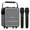 VoicePower™ 150W Portable PA System with 2 Wireless Mics - WinBridge S200 Guitar Amp - WinBridge