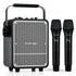 VoicePower™ 150W Portable PA System with 2 Wireless Mics - WinBridge S200 Guitar Amp - WinBridge