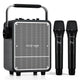 VoicePower™ 150W Portable PA System with 2 Wireless Mics - WinBridge S200 Guitar Amp - WinBridge