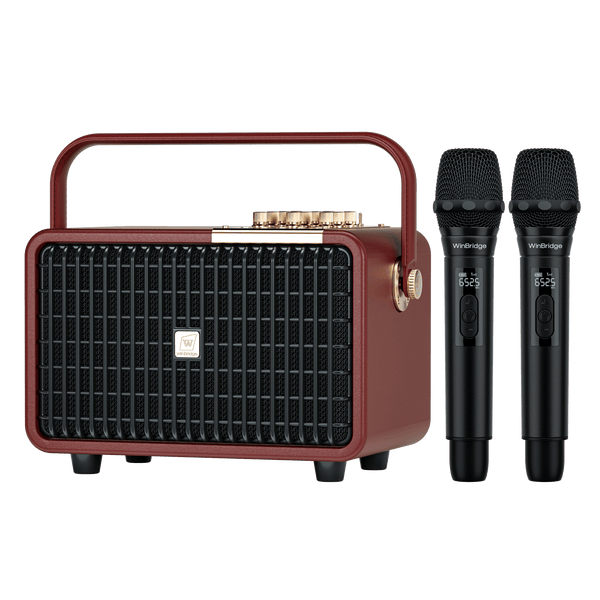 WinBridge L400 Portable Karaoke Machine, 240W Peak Wireless Bluetooth PA System with 2 UHF Microphones, Voice Amplifier with Echo/Treble/Bass for Home Party, Wedding, Church, Outdoor Events - WinBridge