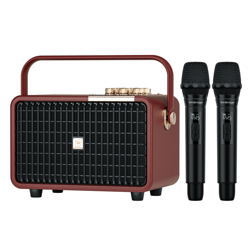 WinBridge L400 Portable Karaoke Machine, 240W Peak Wireless Bluetooth PA System with 2 UHF Microphones, Voice Amplifier with Echo/Treble/Bass for Home Party, Wedding, Church, Outdoor Events - WinBridge