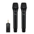 WinBridge S20 Universal Wireless Microphone System - WinBridge
