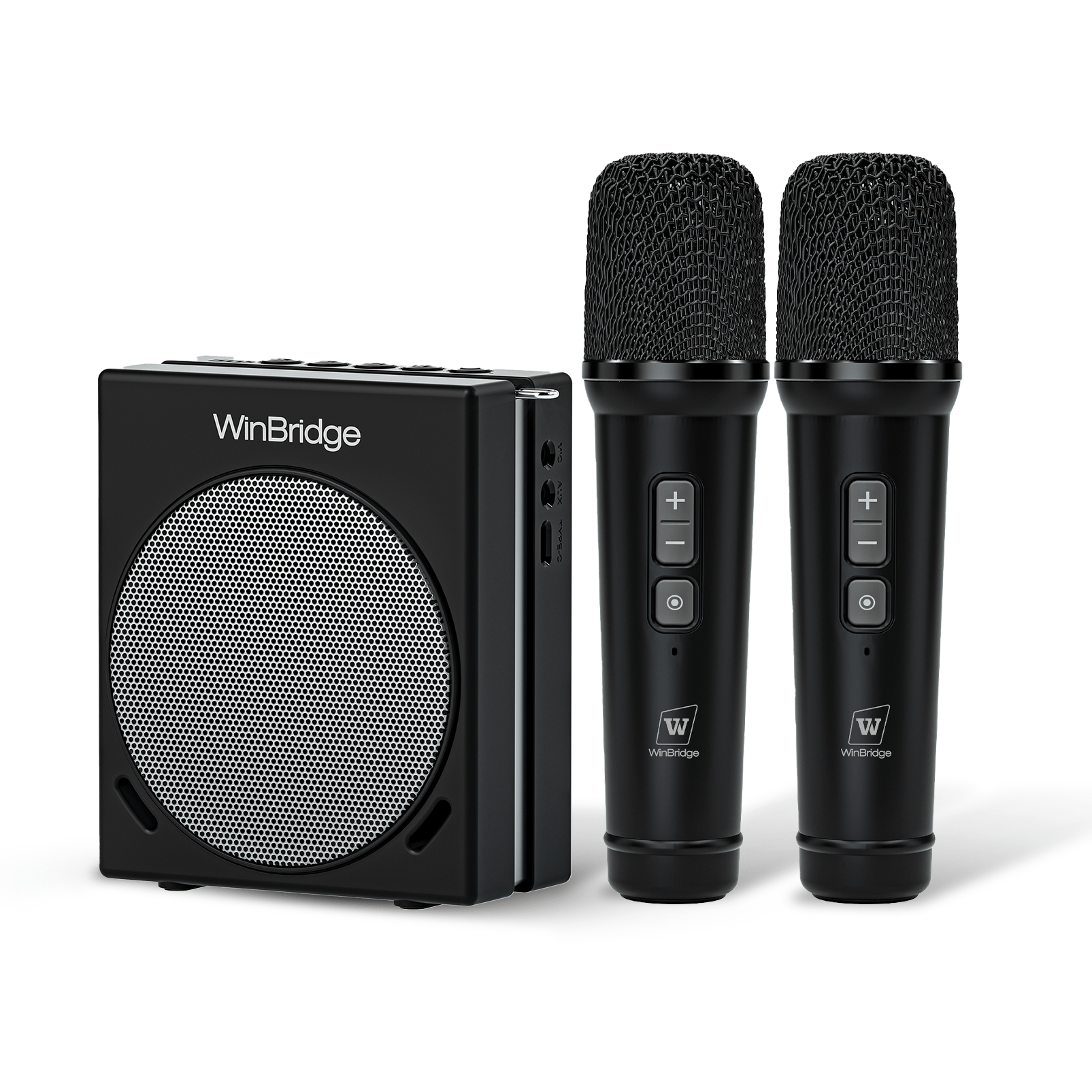 WinBridge S90 Voice Amplifier with Wireless Handheld Microphones, 30