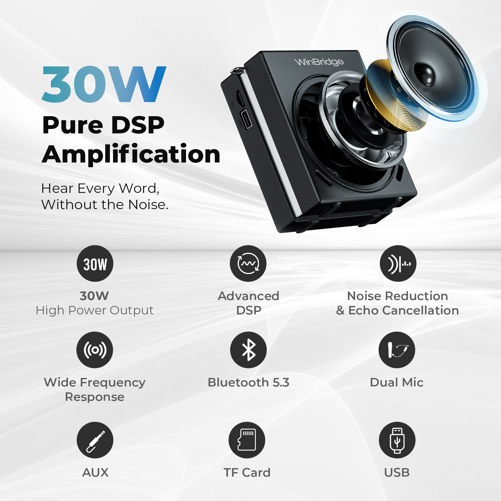 WinBridge S91 Voice Amplifier & Karaoke Machine, 30W Portable PA System with 2 Wireless Microphones, HD Clear Sound Bluetooth Speaker for Teachers, Tour Guide, Singing, Home Party,Big Sound Small Body - WinBridge