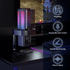WinBridge USB Recording Microphone - Computer Cardioid Condenser PC Gaming Mic with RGB Light, Gain Control, Headphones Jack, Mute Button, Monitoring, Desktop Stand for Streaming, Podcasting - WinBridge