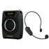 WIRELESS VOICE AMPLIFIERS - WinBridge