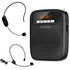 WIRELESS VOICE AMPLIFIERS - WinBridge