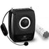 WIRELESS VOICE AMPLIFIERS - WinBridge
