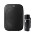 WIRELESS VOICE AMPLIFIERS - WinBridge