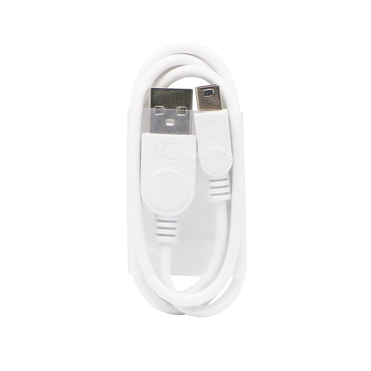 WinBridge Mini USB Cable For WB001