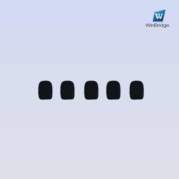 WinBridge Windscreen Foam Cover, Black, 5 Piece