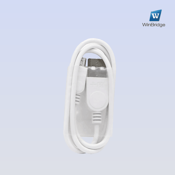 WinBridge Mini USB Cable For WB001