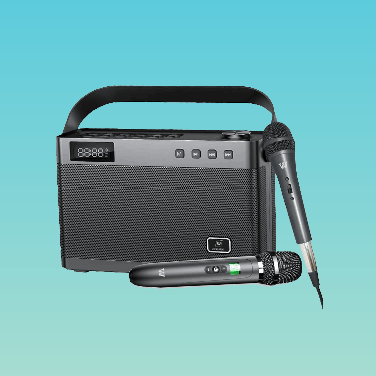 WinBridge Karaoke Machine T9 with Wirereless Microphone, Bluetooth