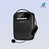 WIRELESS VOICE AMPLIFIERS - WinBridge